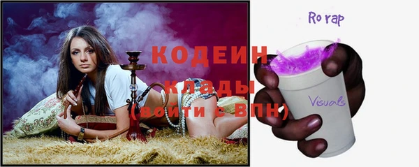 индика Балабаново