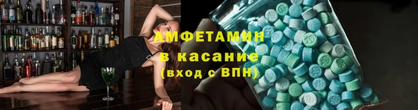 индика Балабаново