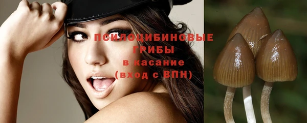 тгк Баксан