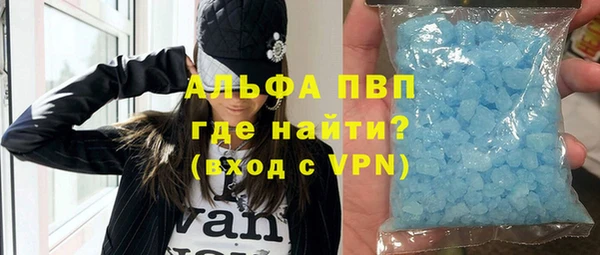 индика Балабаново