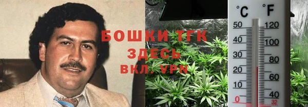 ECSTASY Няндома