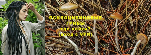 тгк Баксан